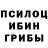 Псилоцибиновые грибы GOLDEN TEACHER Karuta yt