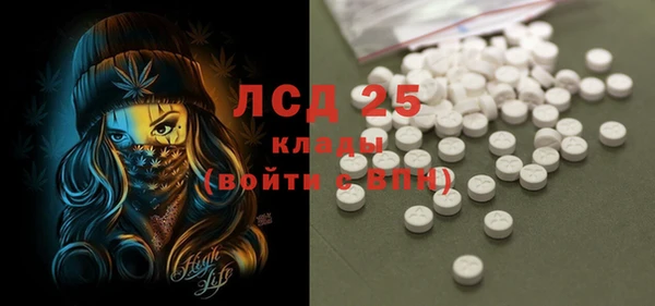 стафф Алексин